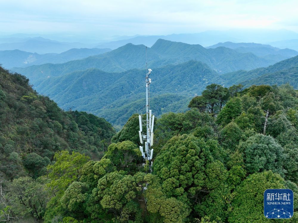福建加快構(gòu)建野生動植物智慧保護體系
