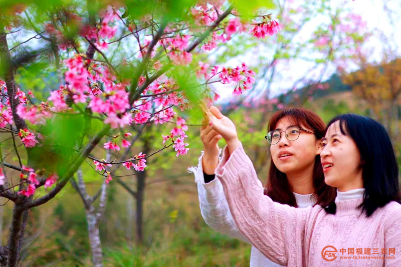 圖片5_副本.png