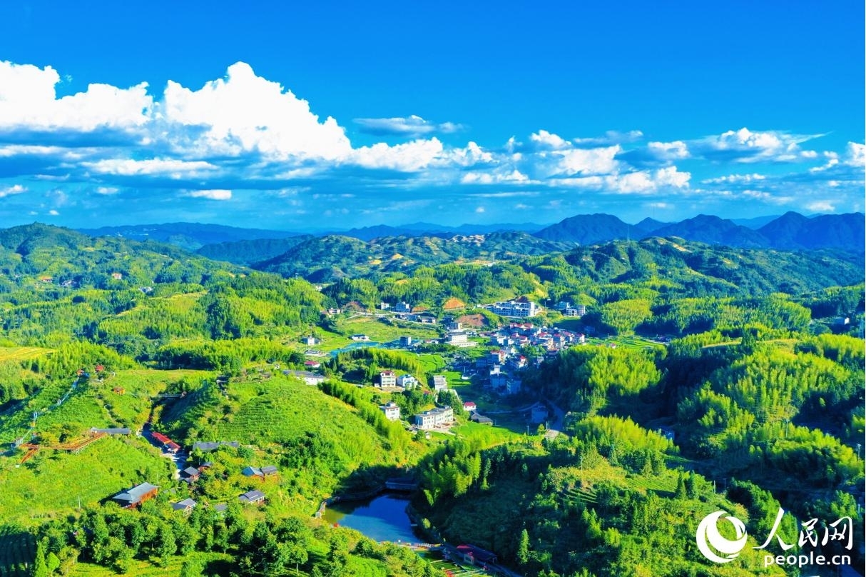 依托豐富的自然資源，大田縣大力發(fā)展茶旅特色產(chǎn)業(yè)。人民網(wǎng) 李唯一攝