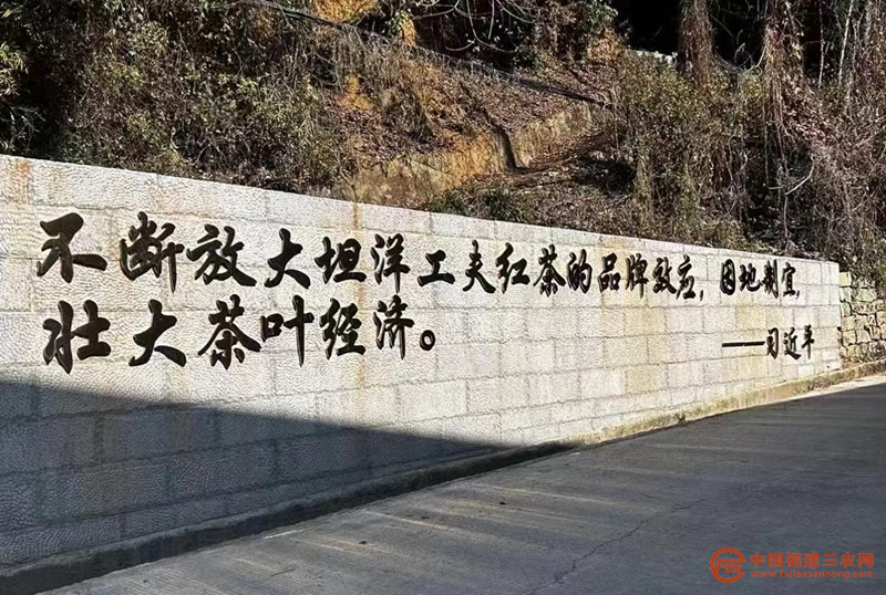 圖片1_副本.png