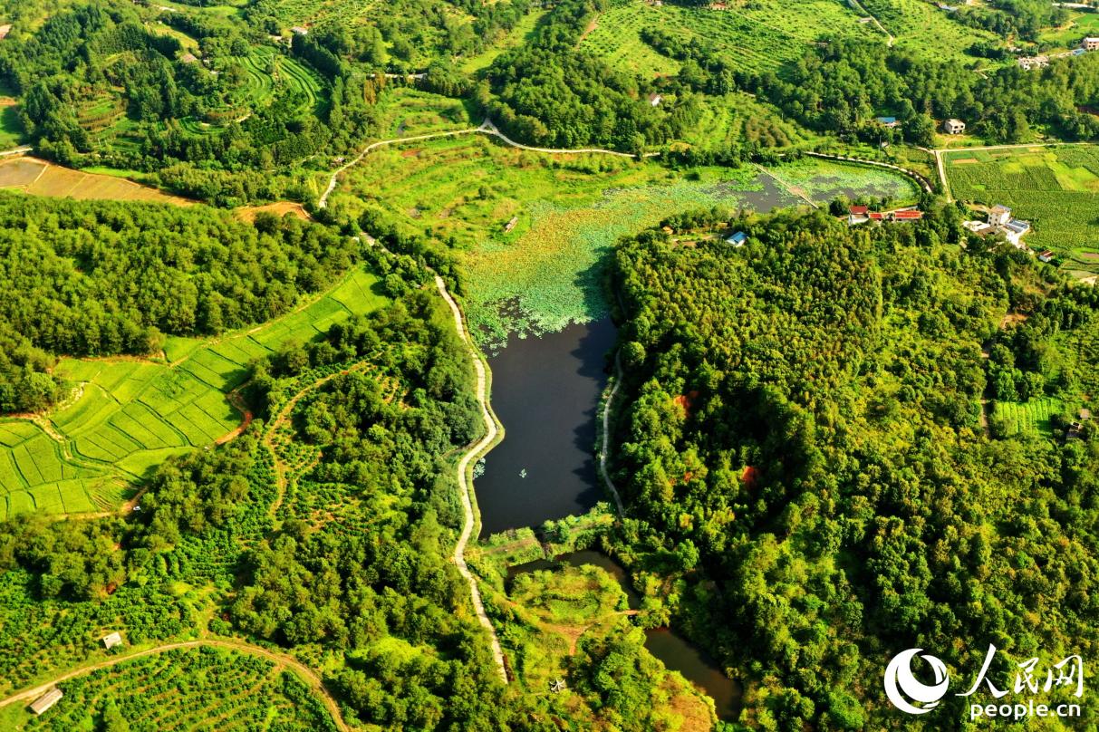 濕地公園的生物多樣性豐富。人民網(wǎng) 李唯一攝