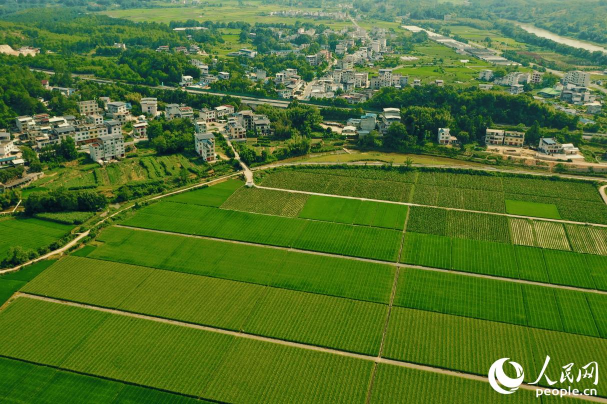 萬畝農田錯落有致，成就鄉(xiāng)村生動圖景。人民網 李唯一攝