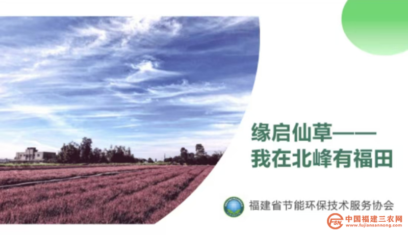圖片12_副本.png