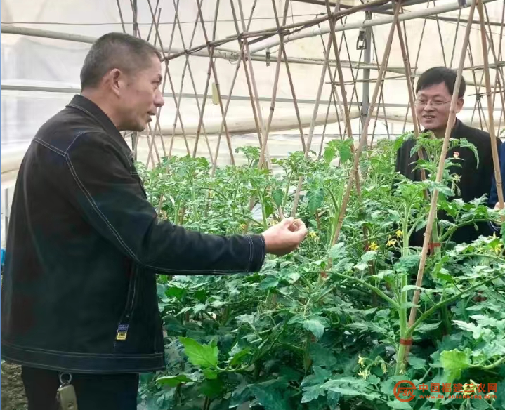 圖片21.png