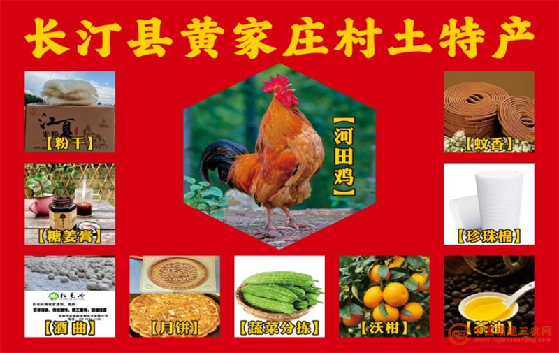 圖片8.png