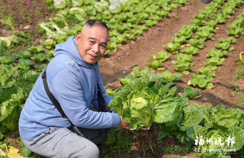陳開端：農(nóng)民信賴的“植物醫(yī)生”