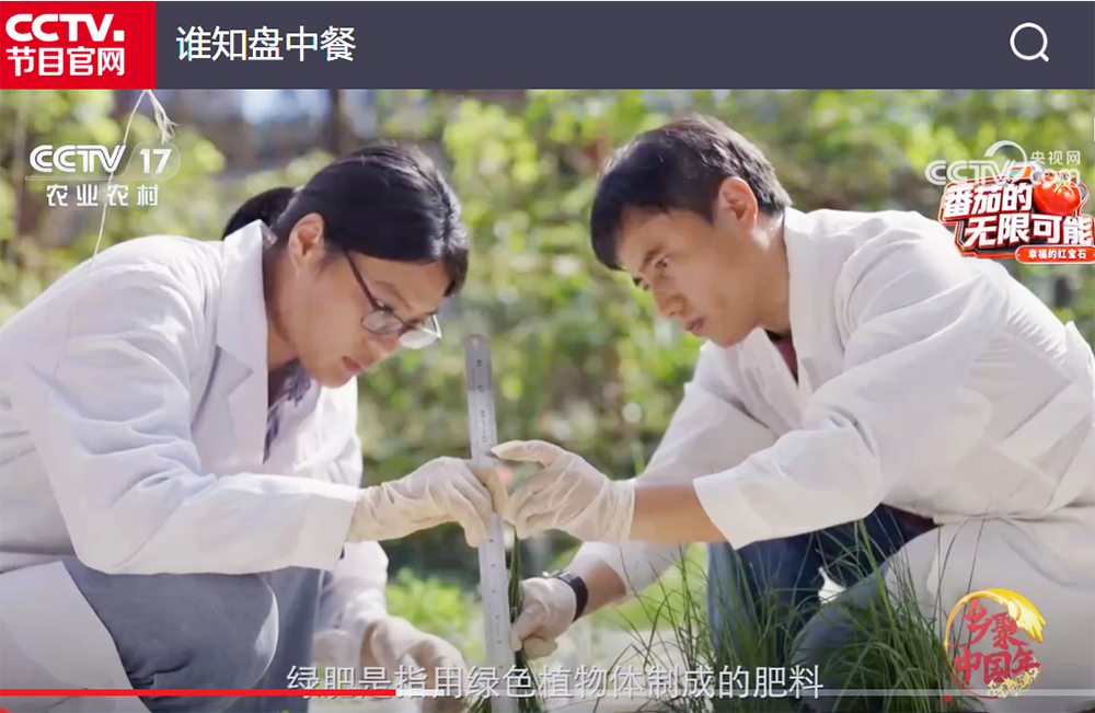 3、綠肥生態(tài)修復(fù) -.png