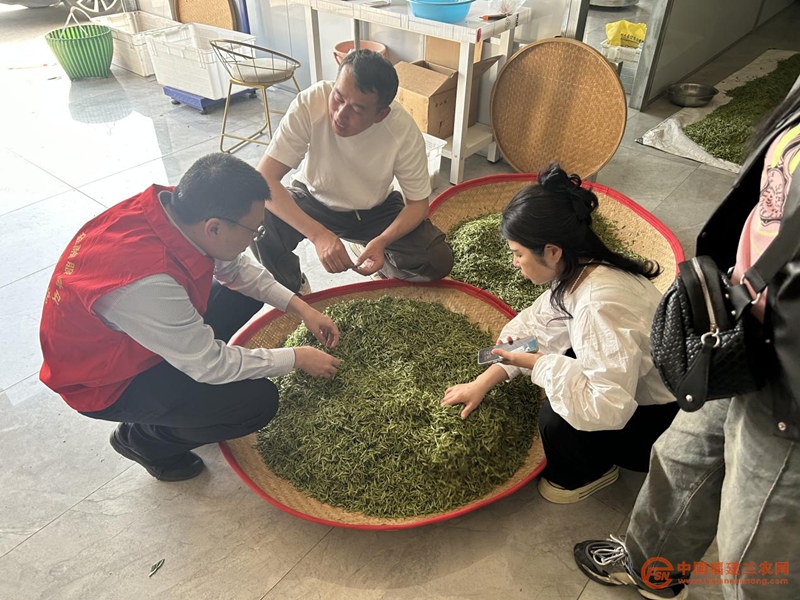 圖片5.png