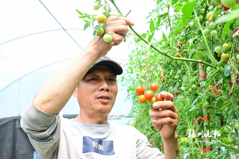 閩清前莊村：“五色筆”巧繪振興畫卷
