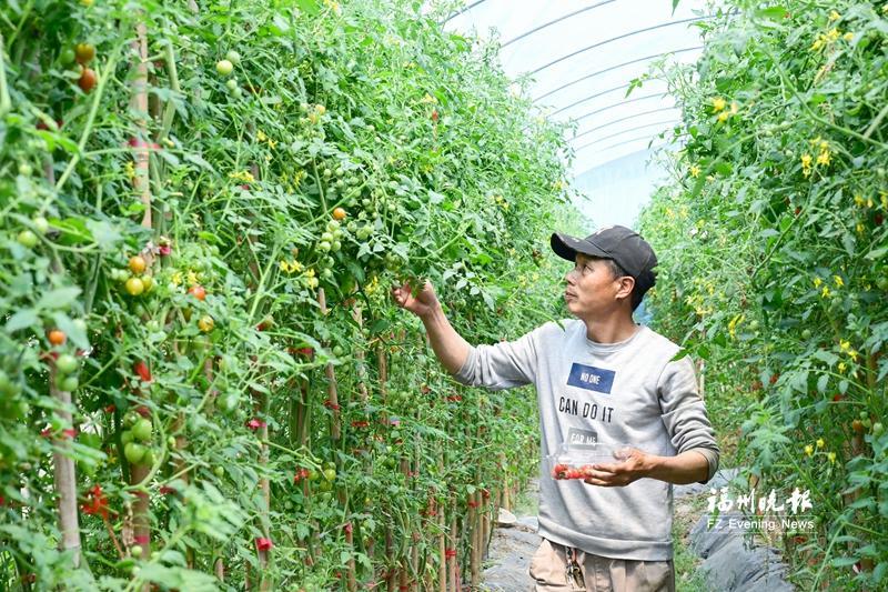 閩清前莊村：“五色筆”巧繪振興畫卷
