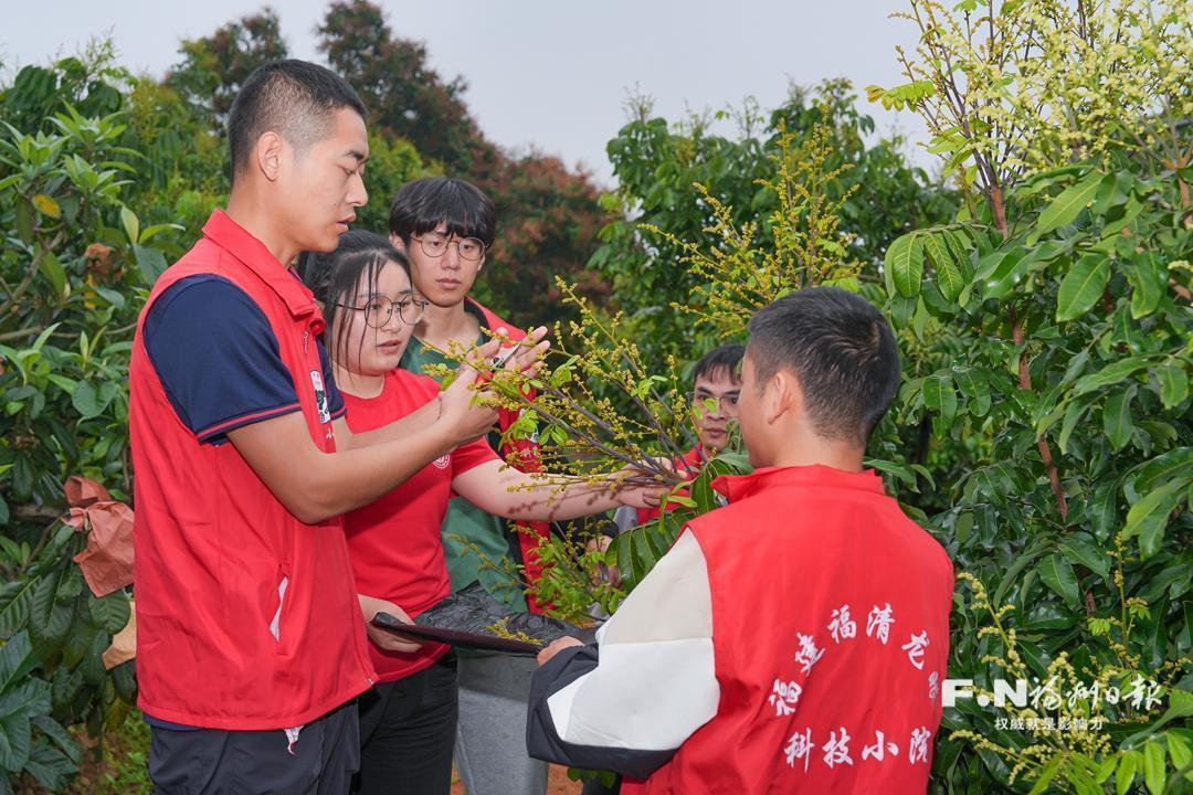 福州市科協(xié)：讓農(nóng)業(yè)科技種子在鄉(xiāng)村生根