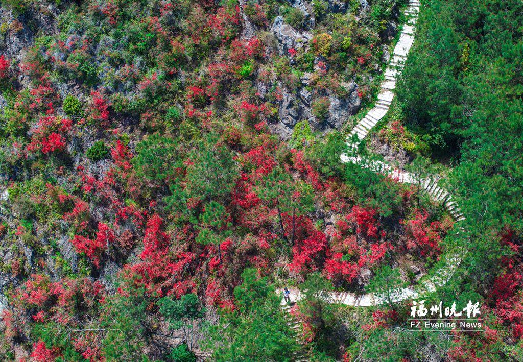 閩侯嶺頭村：四季有景 全域皆游