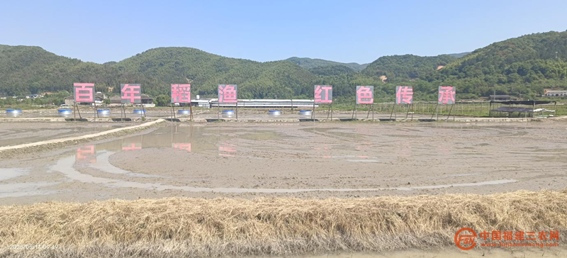 圖片4.png