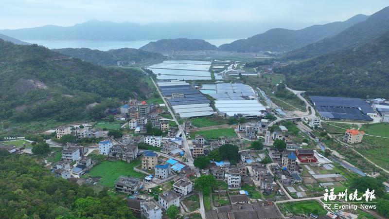 羅源濂澳村：蒼鷺詩意棲居地 人鳥共生數(shù)百年