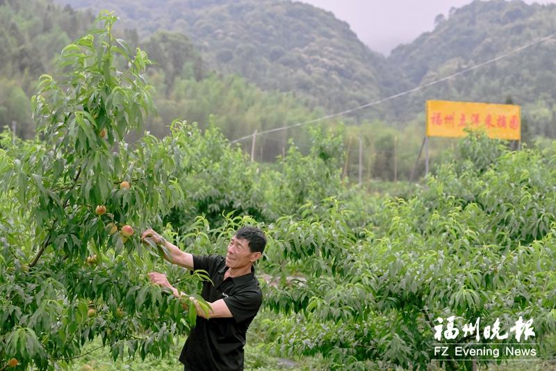 晉安點(diǎn)洋村：文明新風(fēng)吹 共富闖新路