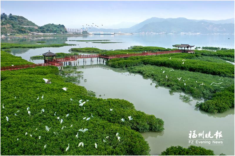 羅源北山村：打造鄉(xiāng)村振興新樣板