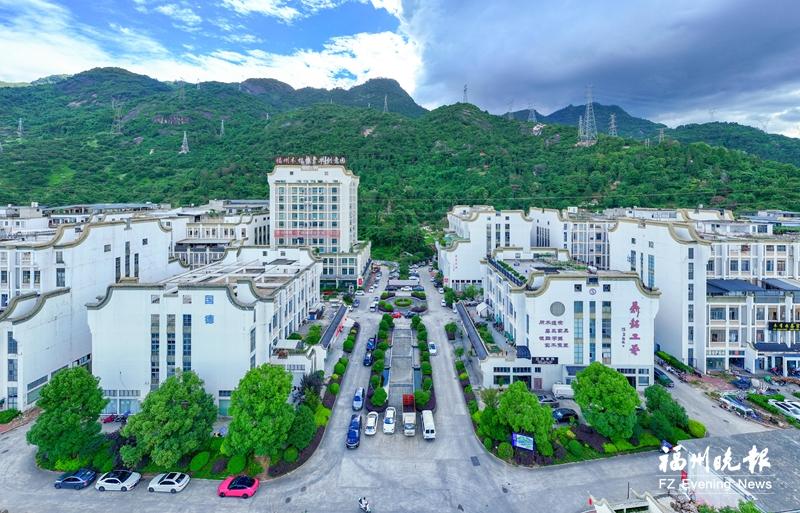 福州高新區(qū)馬保村：借高校圈聚智 憑木根雕興業(yè)