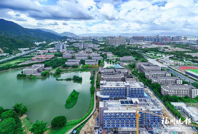 福州高新區(qū)馬保村：借高校圈聚智 憑木根雕興業(yè)