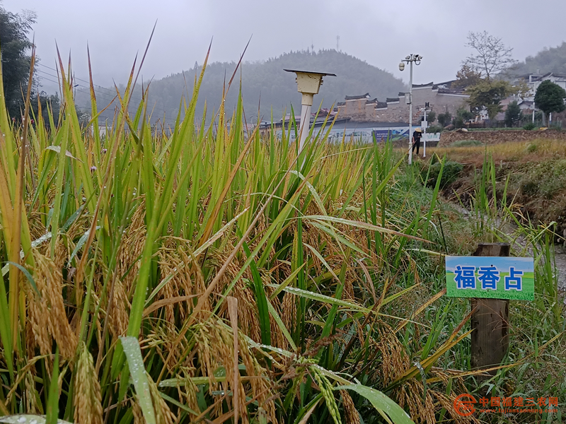 圖片15.png