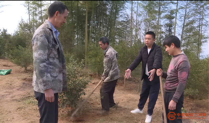 圖片7.png